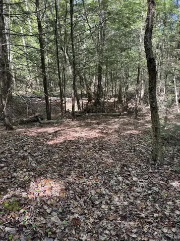 Lot 13 Route 9 Aurora ME 04428