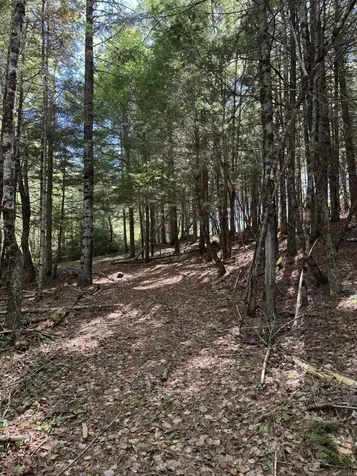 Lot 13 Route 9 Aurora ME 04428