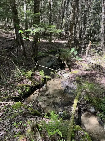 Lot 13 Route 9 Aurora ME 04428