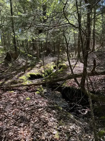 Lot 13 Route 9 Aurora ME 04428