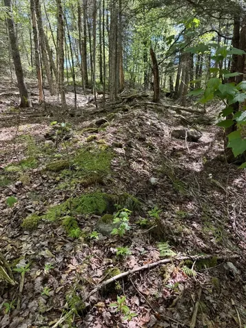 Lot 13 Route 9 Aurora ME 04428