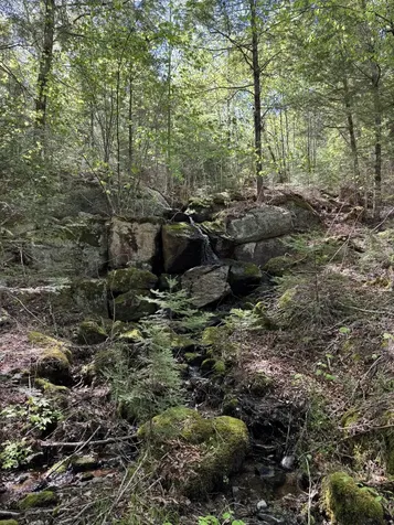 Lot 13 Route 9 Aurora ME 04428