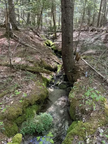 Lot 13 Route 9 Aurora ME 04428