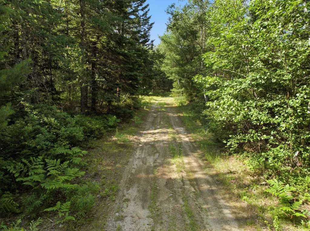 84 Hanscom Road Whitneyville ME 04654