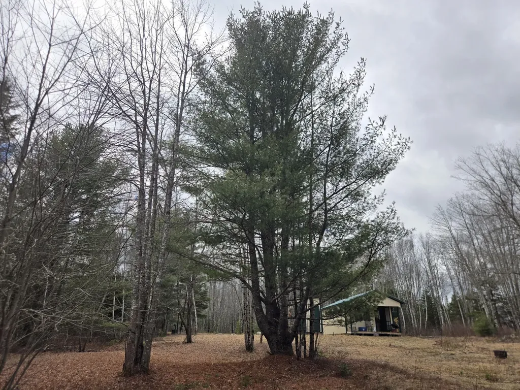 84 Hanscom Road Whitneyville ME 04654
