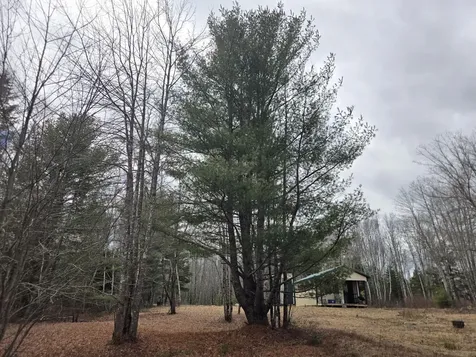 84 Hanscom Road Whitneyville ME 04654
