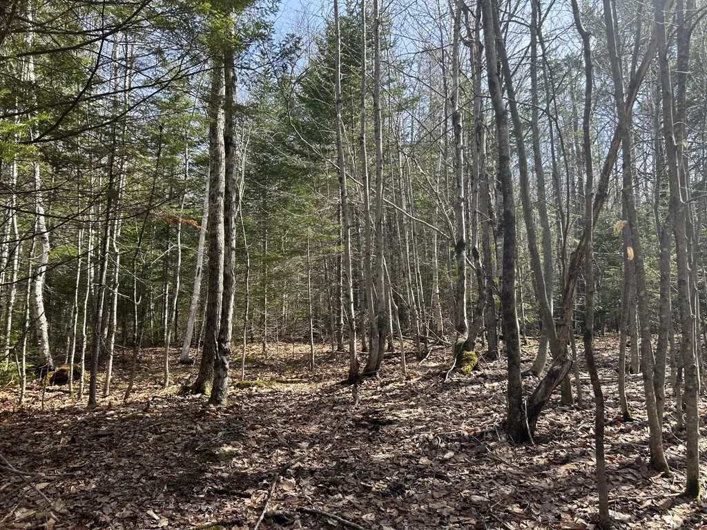 Lot 4 Holley Road Farmington ME 04938