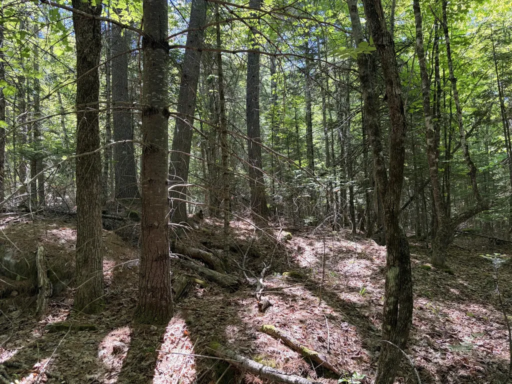 Lot 4 Holley Road Farmington ME 04938