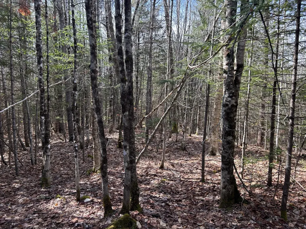 Lot 4 Holley Road Farmington ME 04938