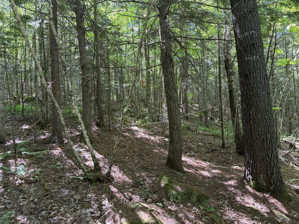 Lot 4 Holley Road Farmington ME 04938