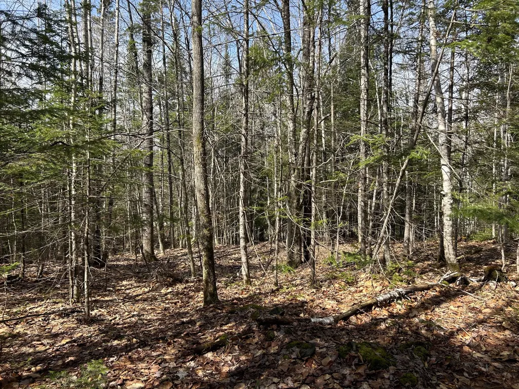 Lot 4 Holley Road Farmington ME 04938
