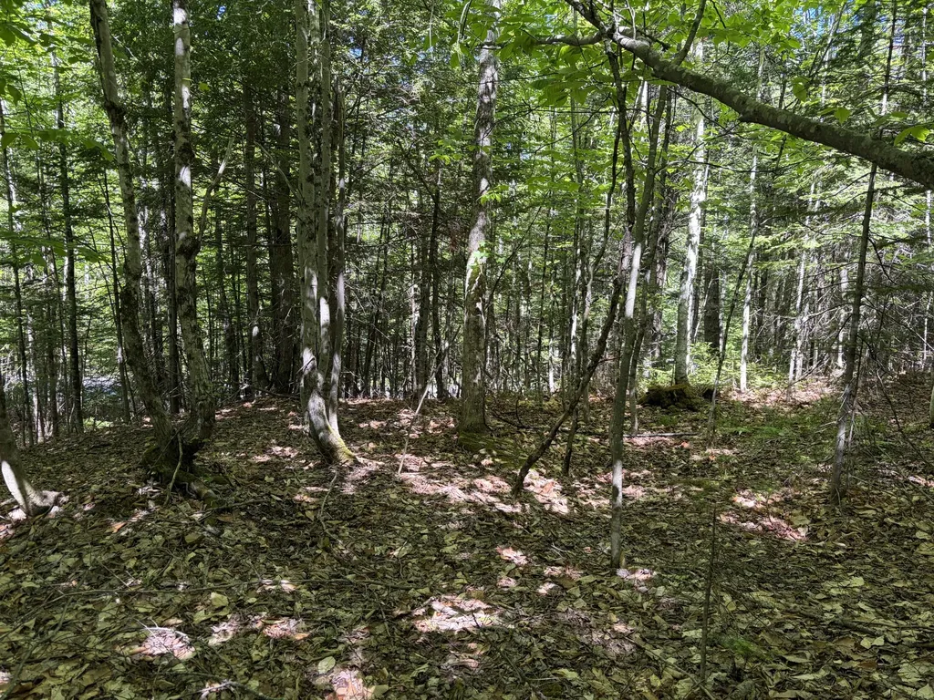 Lot 4 Holley Road Farmington ME 04938