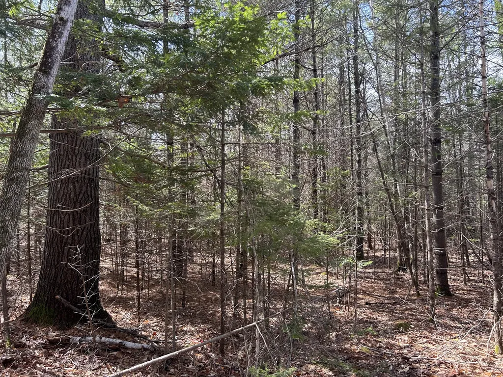 Lot 4 Holley Road Farmington ME 04938