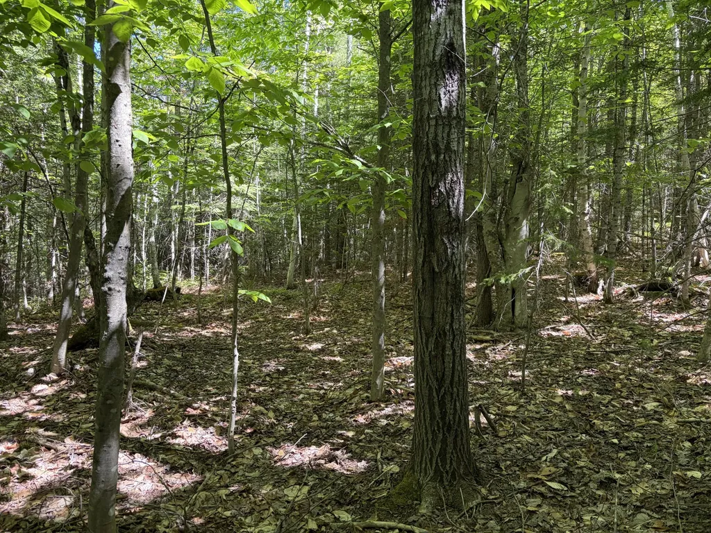 Lot 4 Holley Road Farmington ME 04938