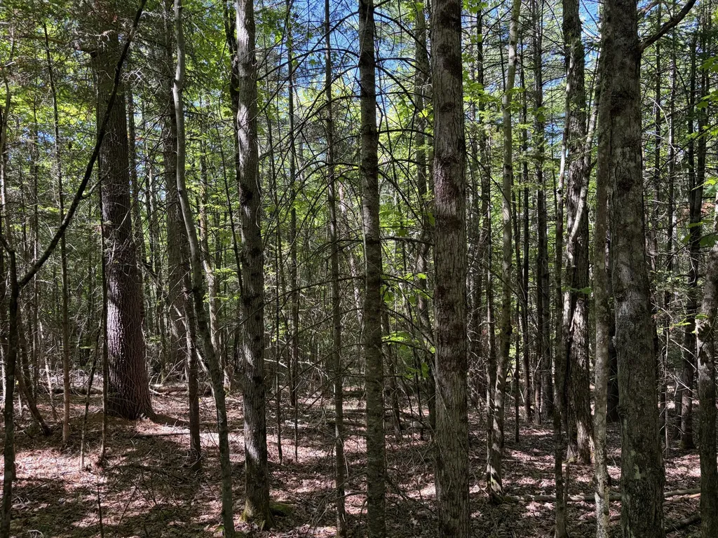 Lot 4 Holley Road Farmington ME 04938