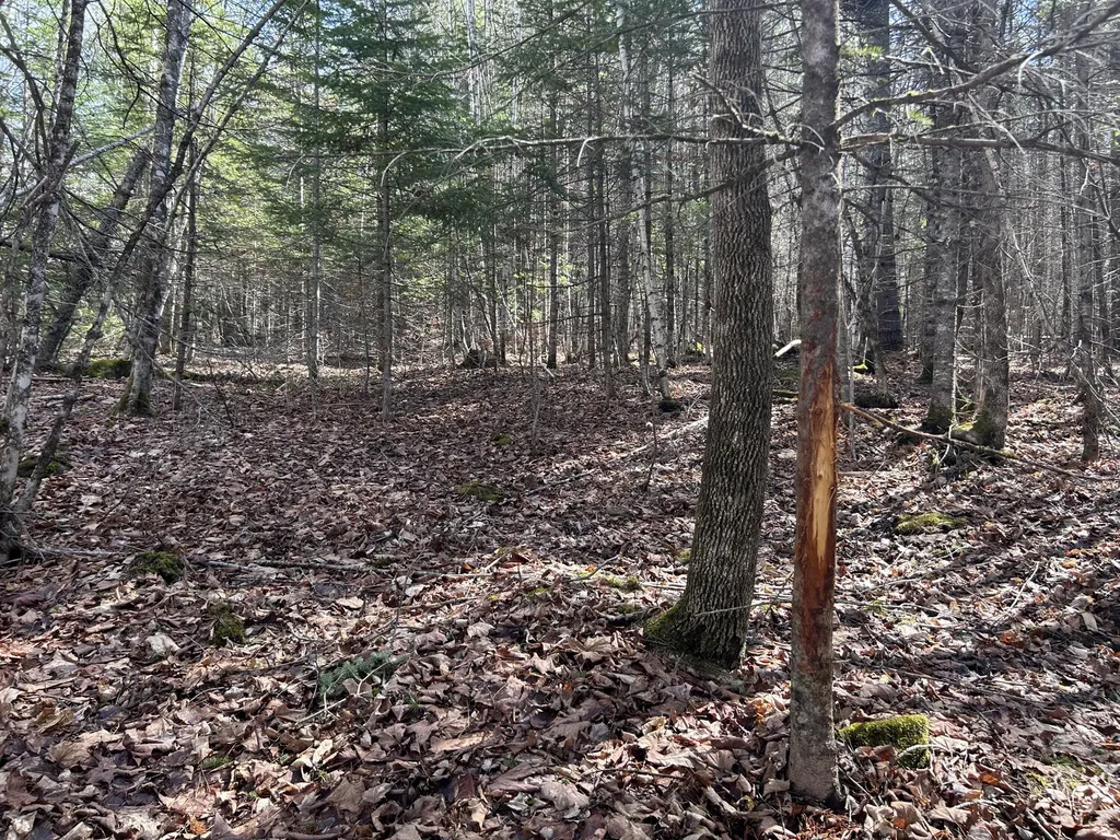 Lot 4 Holley Road Farmington ME 04938