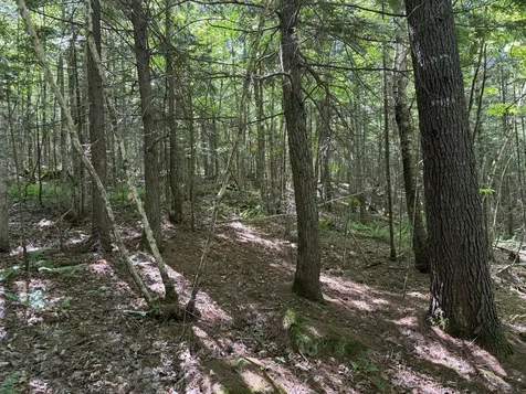 Lot 4 Holley Road Farmington ME 04938