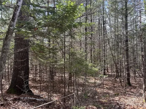 Lot 4 Holley Road Farmington ME 04938