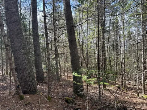 Lot 4 Holley Road Farmington ME 04938