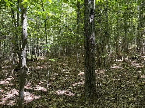Lot 4 Holley Road Farmington ME 04938