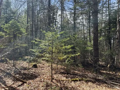 Lot 4 Holley Road Farmington ME 04938
