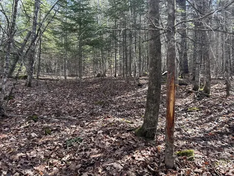 Lot 4 Holley Road Farmington ME 04938