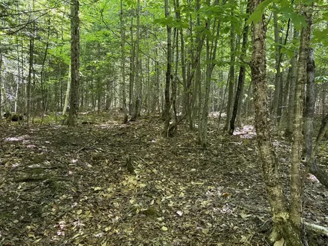 Lot 4 Holley Road Farmington ME 04938