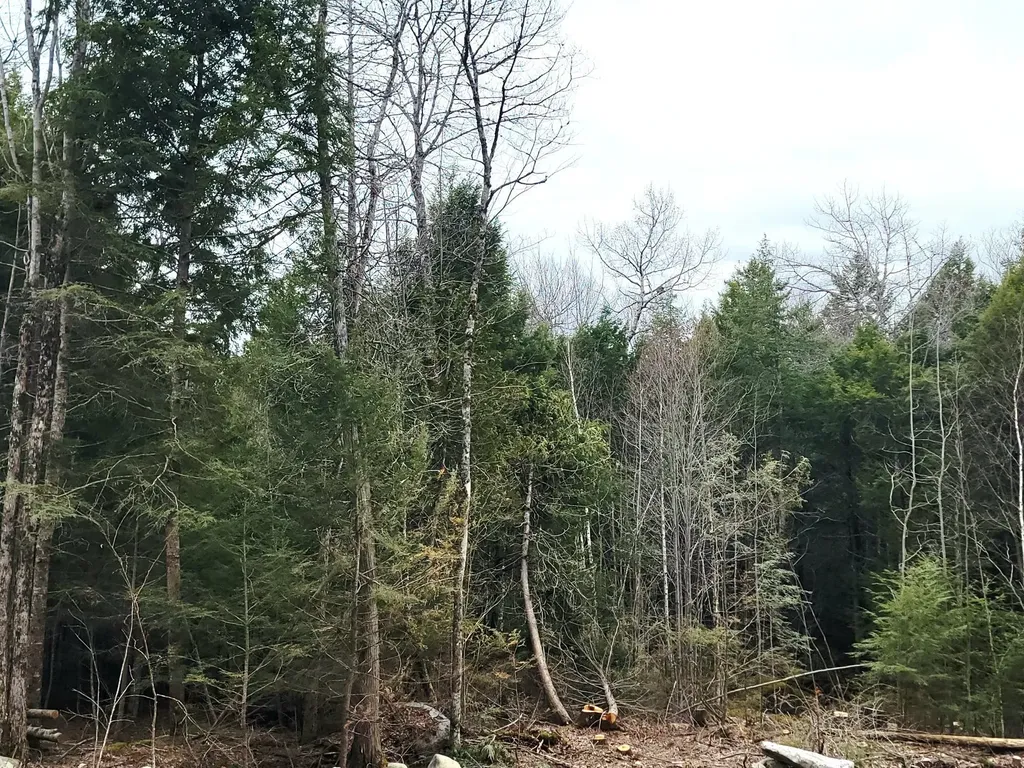 Lot B-2 Pioneer Path Aurora ME 04408