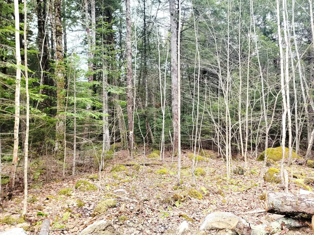 Lot B-2 Pioneer Path Aurora ME 04408