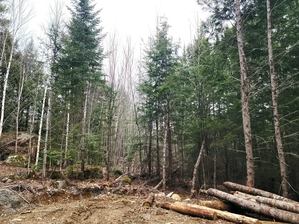 Lot B-2 Pioneer Path Aurora ME 04408