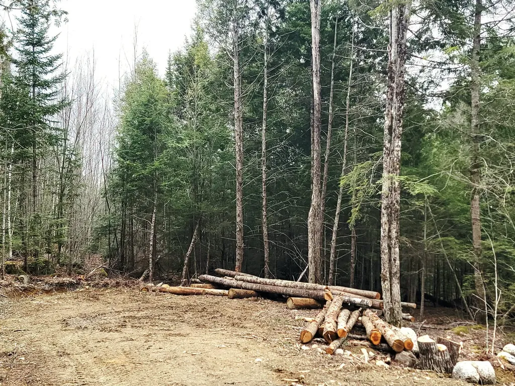 Lot B-2 Pioneer Path Aurora ME 04408