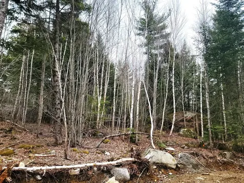 Lot B-2 Pioneer Path Aurora ME 04408