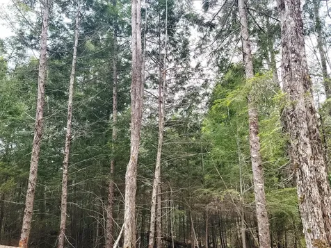 Lot B-2 Pioneer Path Aurora ME 04408