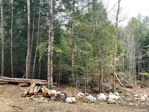 Lot B-2 Pioneer Path Aurora ME 04408