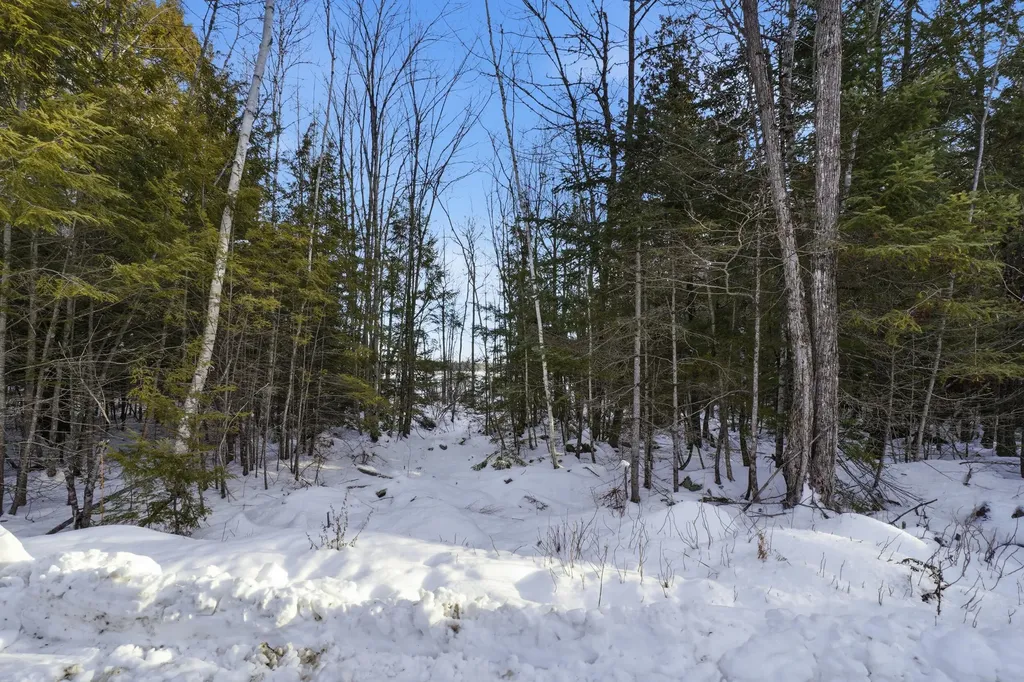 Map 44 Lot 5 Cedar Breeze N Glenburn ME 04401