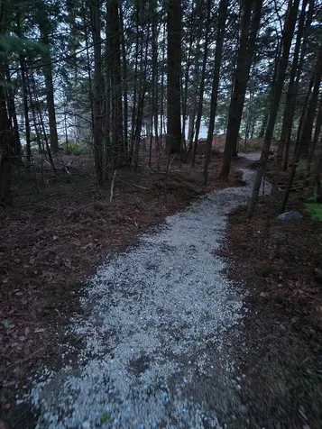 40 Moosepath Lane Searsport ME 04974