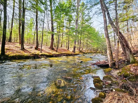 922 Weld Road Wilton ME 04294