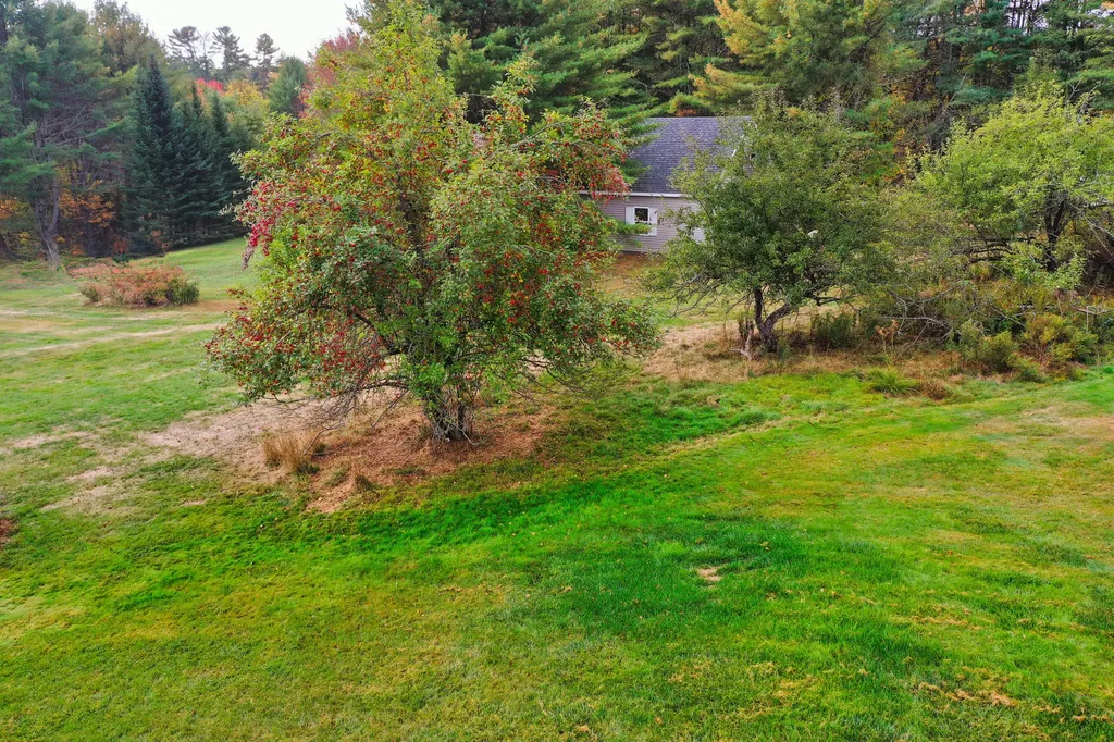87 Beechwood Lane Orland ME 04472