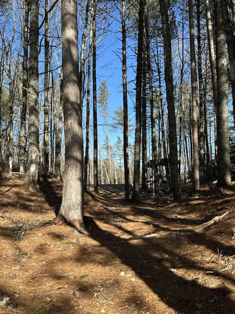Tbd Huckleberry Lane Wesley ME 04686