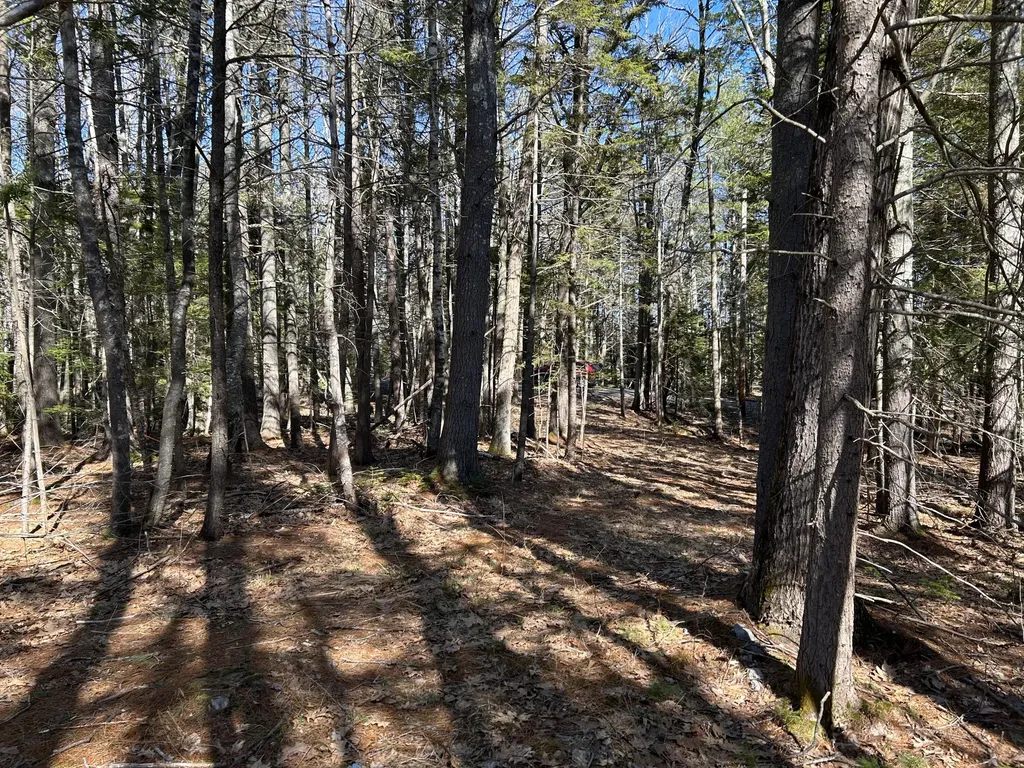 Lot #146 Laurel Shore Drive Harpswell ME 04079