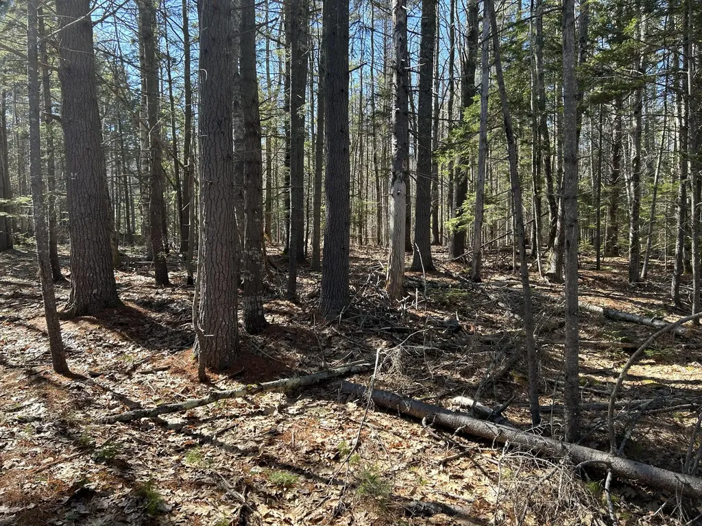 Lot #146 Laurel Shore Drive Harpswell ME 04079