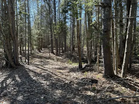 Lot #146 Laurel Shore Drive Harpswell ME 04079