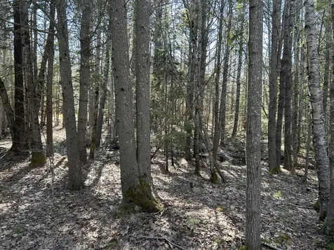 Lot #146 Laurel Shore Drive Harpswell ME 04079