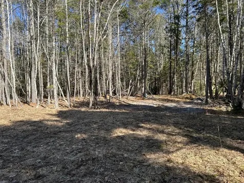 Lot #146 Laurel Shore Drive Harpswell ME 04079