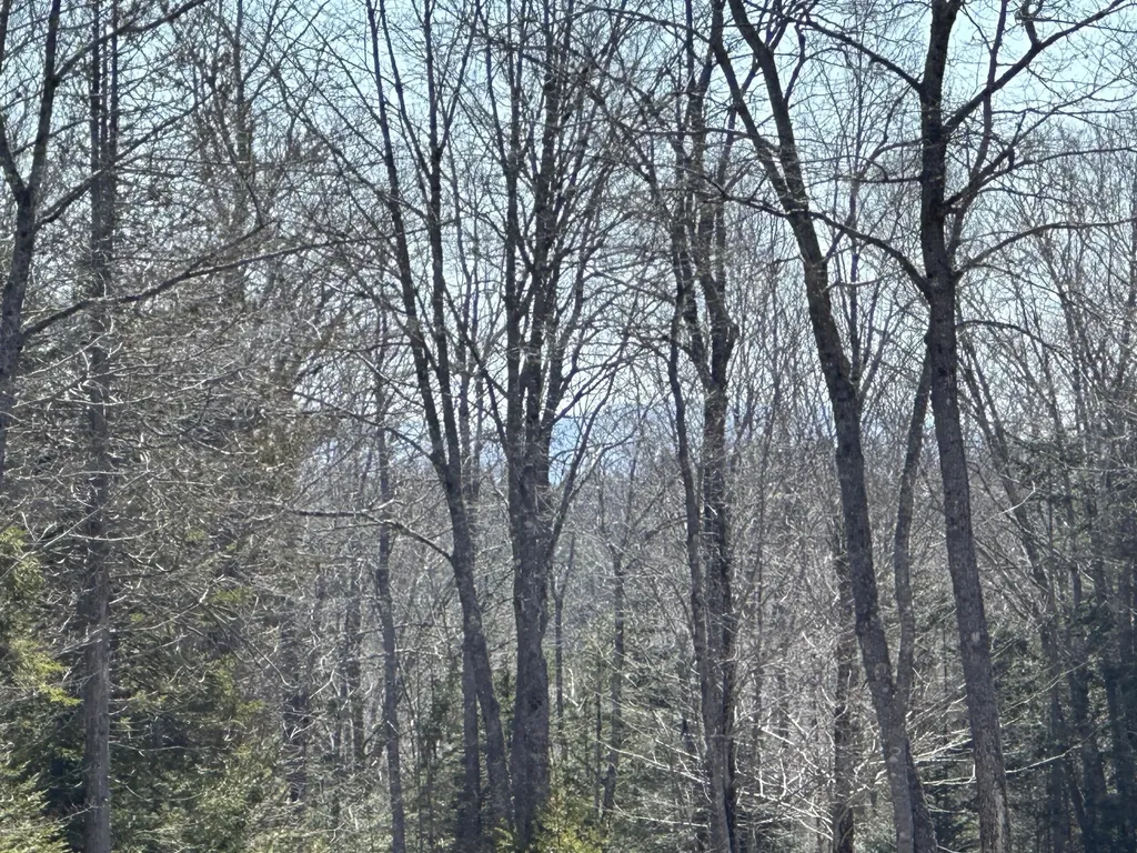 Lot #0 Morgan Bay Road Surry ME 04684