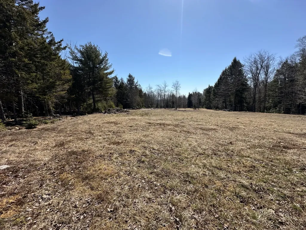 Lot #0 Morgan Bay Road Surry ME 04684