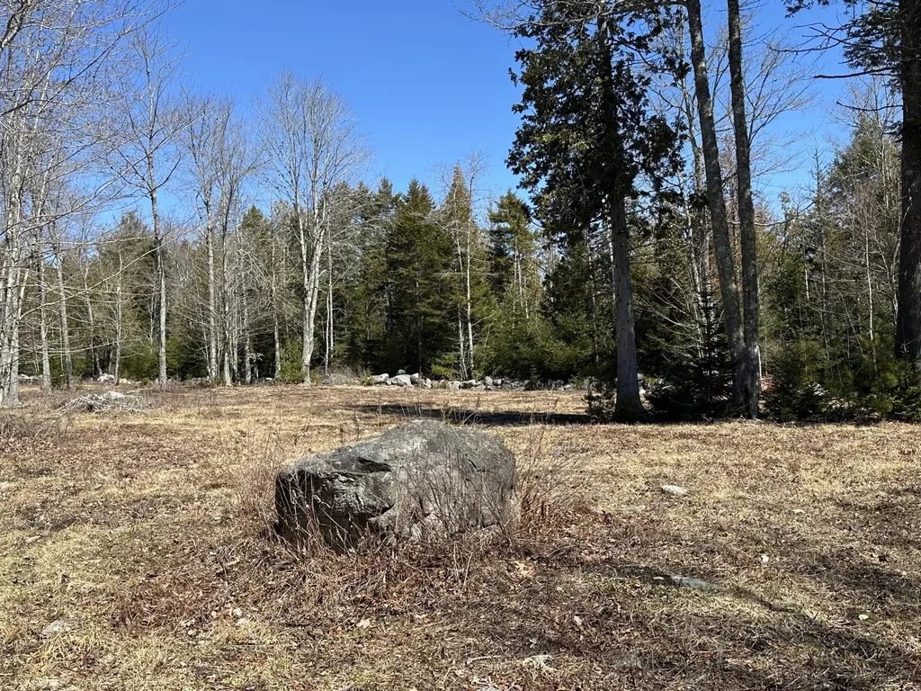 Lot #0 Morgan Bay Road Surry ME 04684