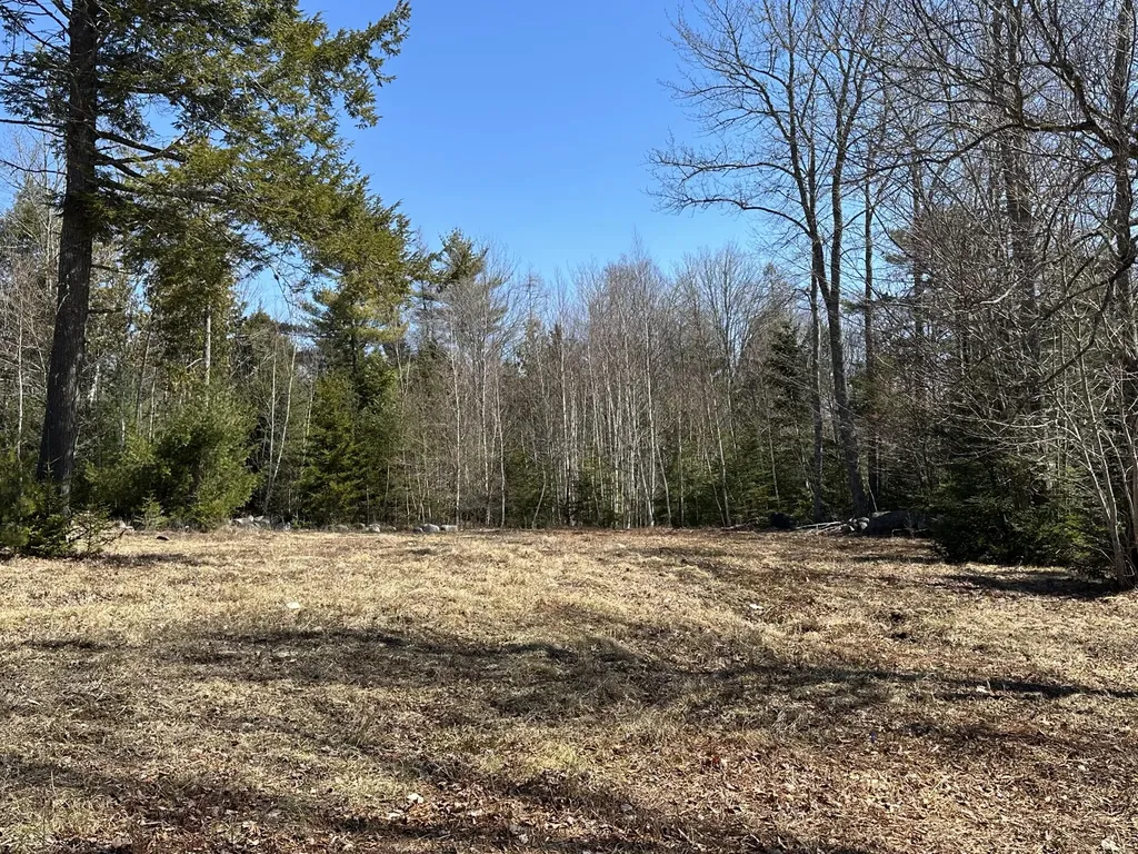 Lot #0 Morgan Bay Road Surry ME 04684