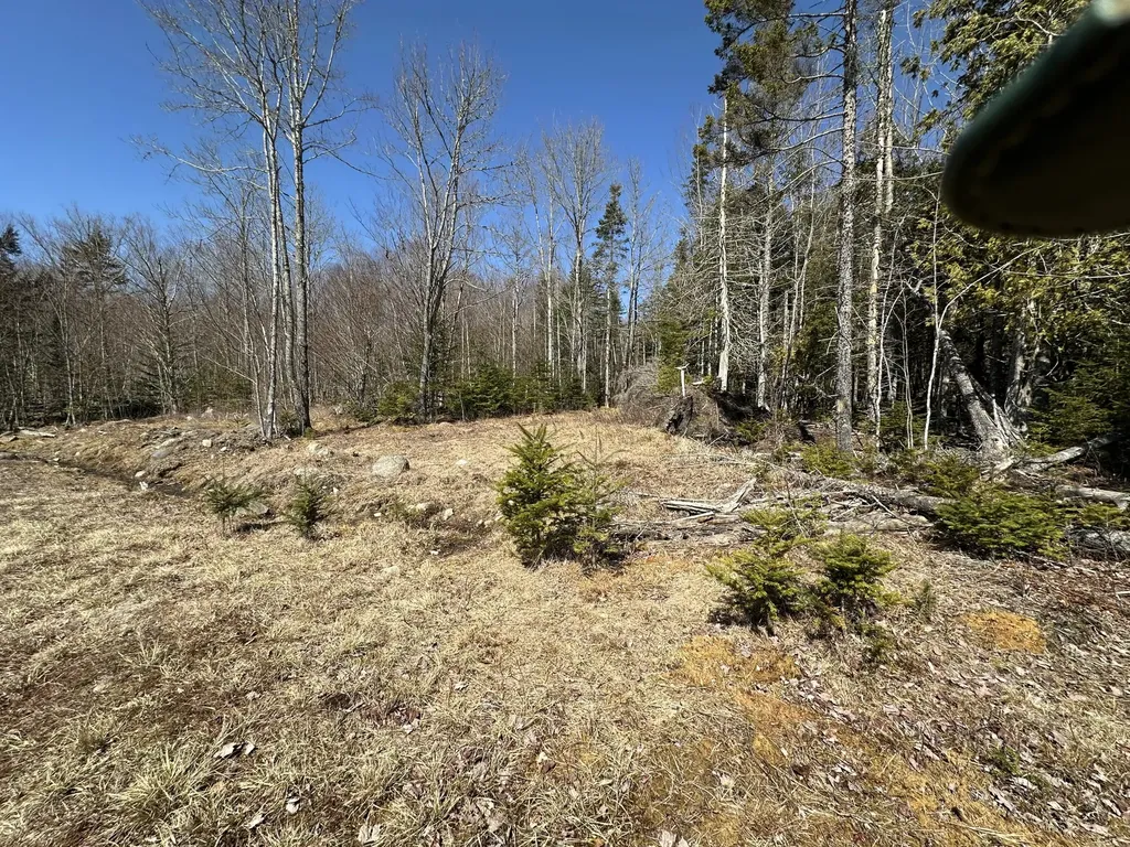 Lot #0 Morgan Bay Road Surry ME 04684