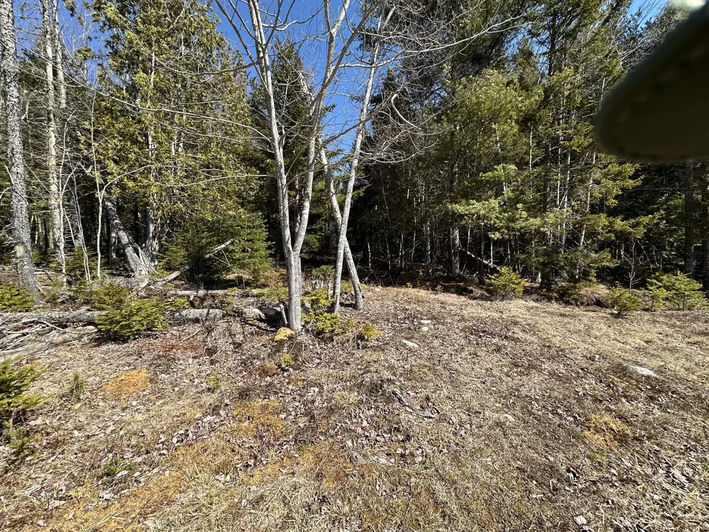 Lot #0 Morgan Bay Road Surry ME 04684
